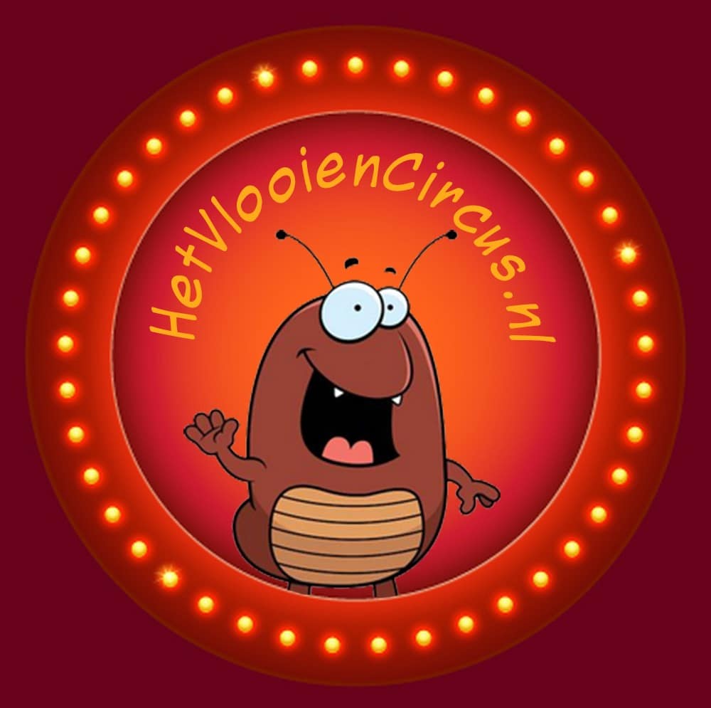 Entertainment op jouw locatie Showbird op locatie